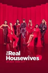 The Real Housewives of New York City poster