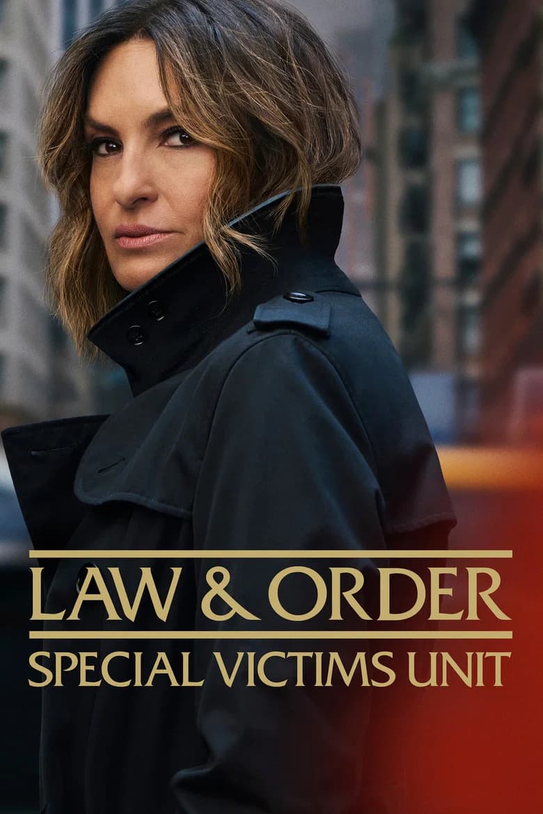 Law & Order: Special Victims Unit poster